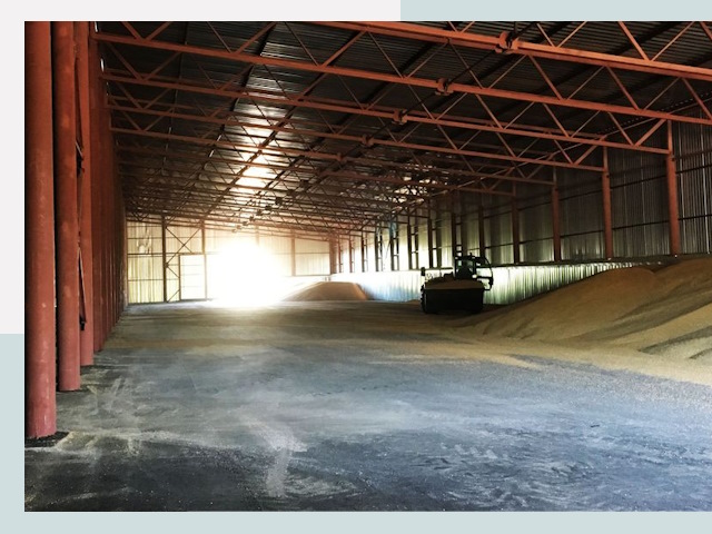 Строительство зернохранилищ в Куйбышеве