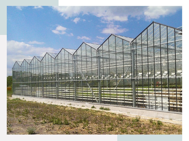 Строительство теплиц в Куйбышев от 622 руб. за м²