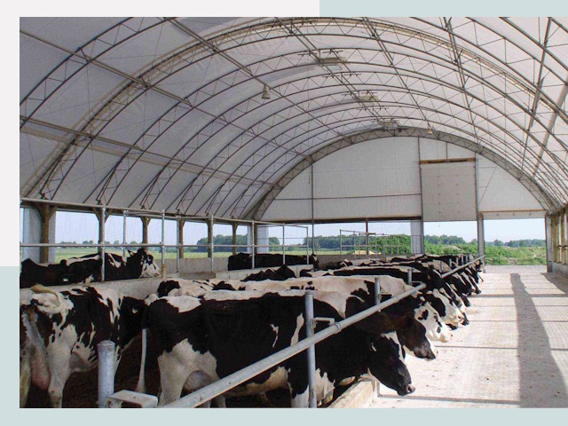 Тентовые коровники в Куйбышеве